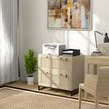 2 Drawer File Cabinet with Lock, Vertical Filing Cabinet with Keys