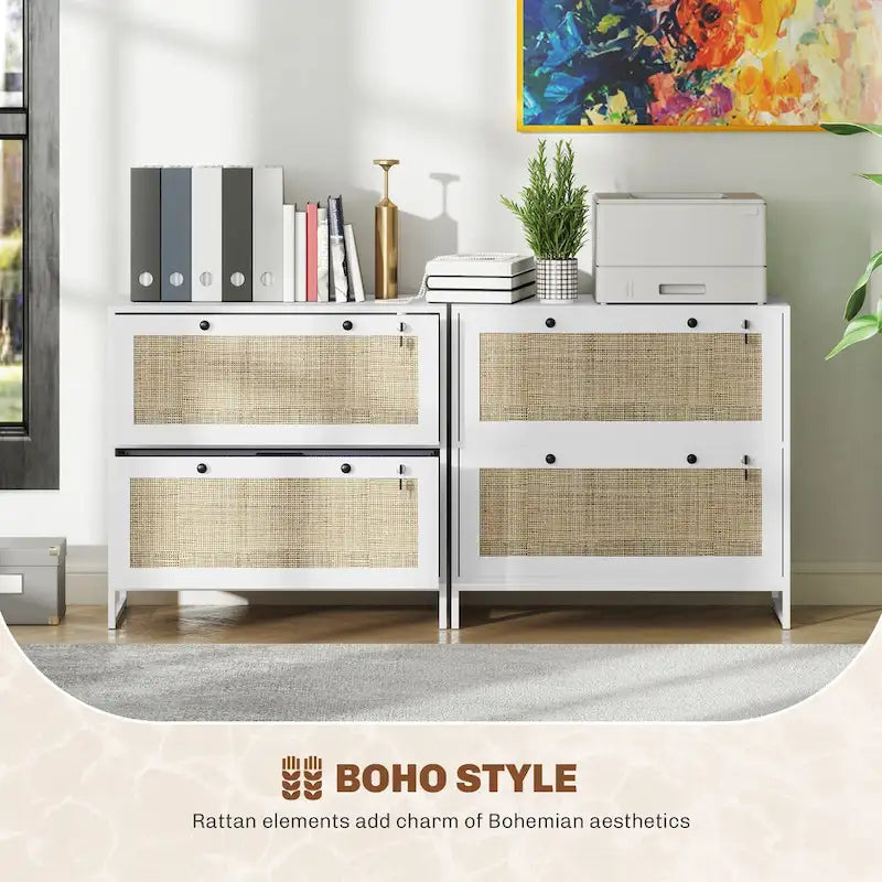 2 Drawer File Cabinet with Lock, Vertical Filing Cabinet with Keys
