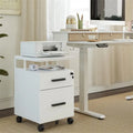 2-Drawer File Cabinet with Lock for Home Office - 17D x 24.3W x 16H