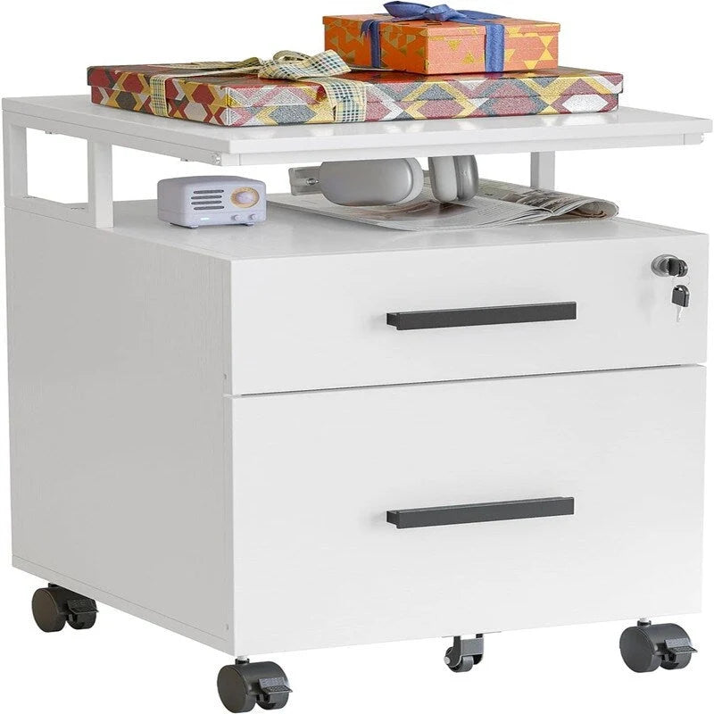 2-Drawer File Cabinet with Lock for Home Office - 17D x 24.3W x 16H